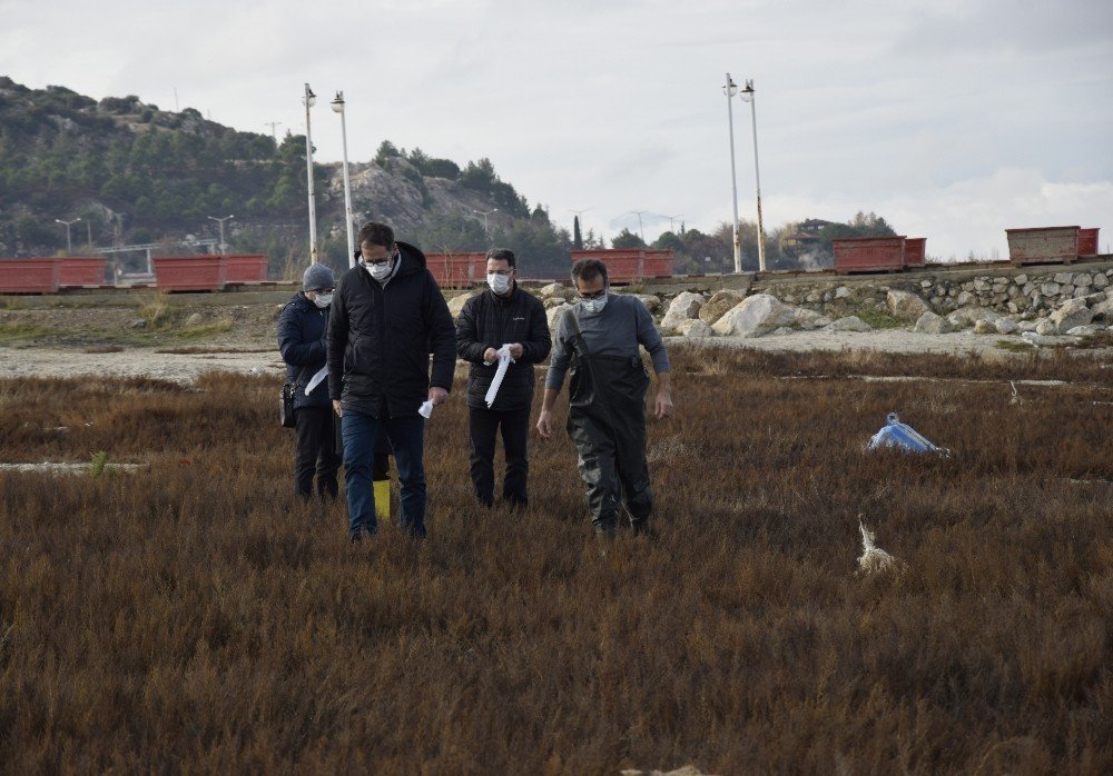 Burdur Gölü’ndeki Gaz Çıkışları İncelendi: “yer Altı Suyu Boşalımı Olabilir”