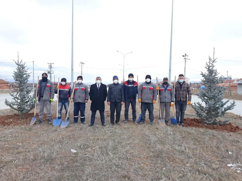 Altıntaş’ta Çevre Yolu Ağaçlandırma Çalışmaları