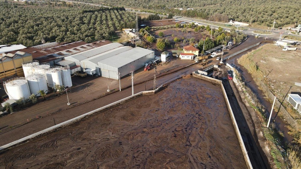 Ayvalık Belediyesi’nden Çevre Felaketine Suç Duyurusu