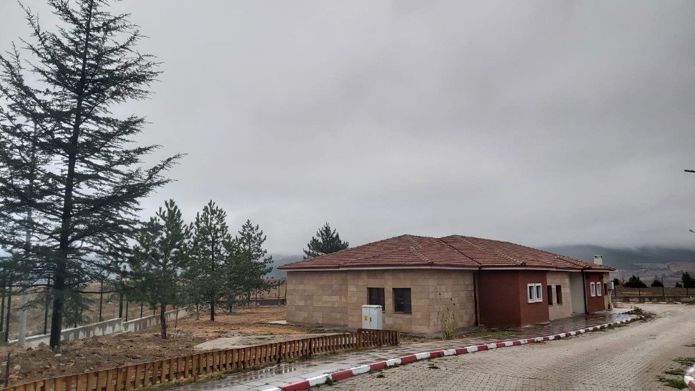 Kurum Bahçesini Ağaçlarla Donattılar