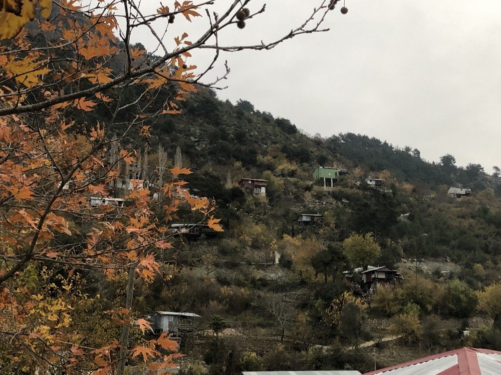 Kozan’da Hüzünlü Kış Manzaraları