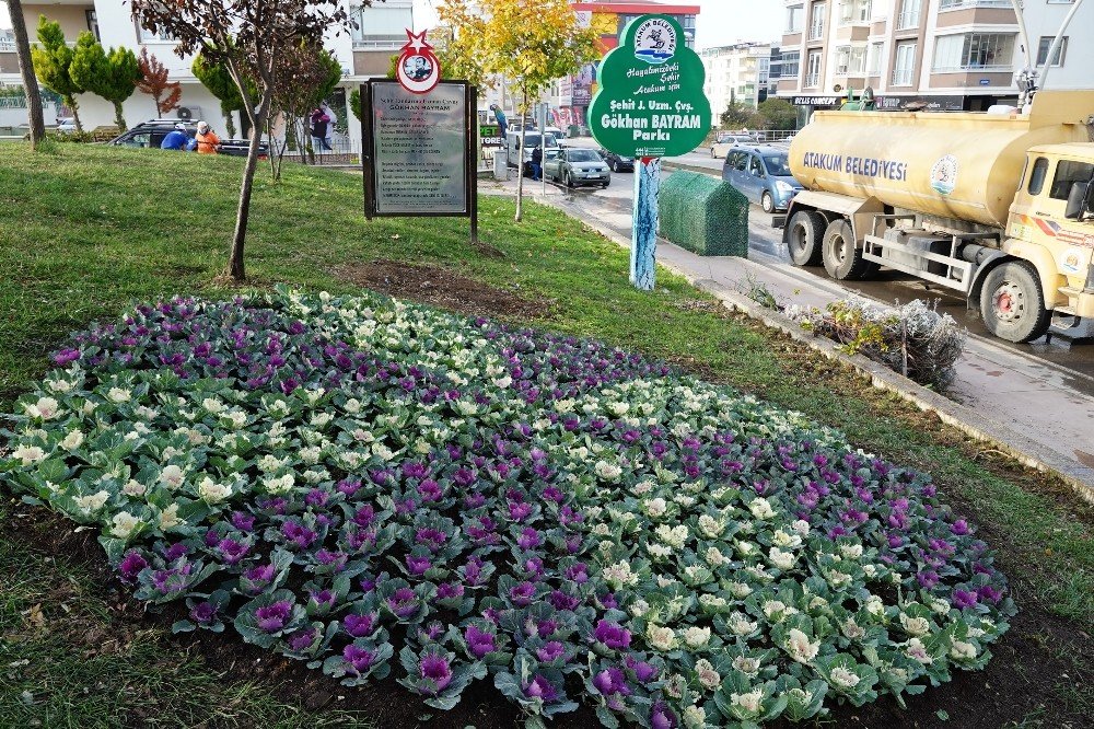 Atakum’da Parklara Kış Bakımı