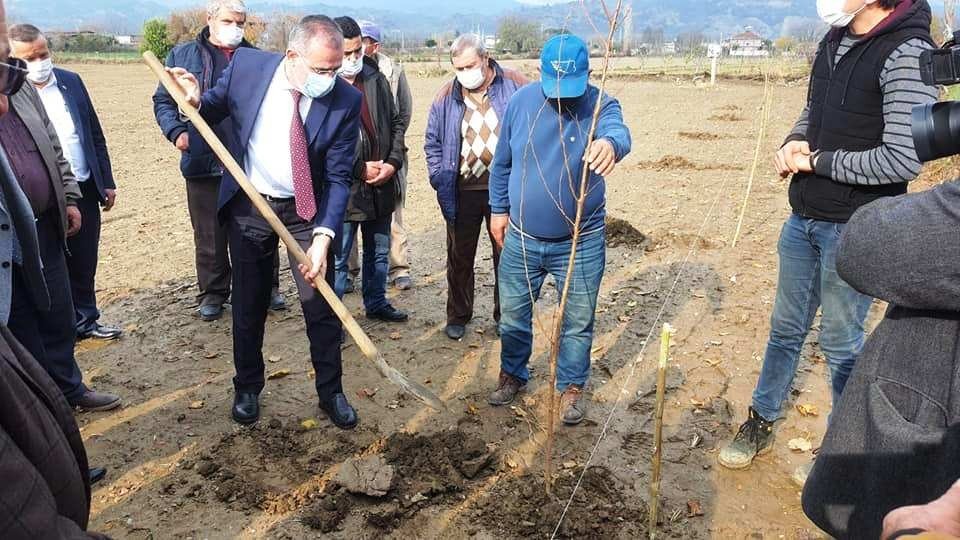 Aydın’da 21 Bin 700 Adet Erkenci Kayısı Fidanı Dağıtıldı