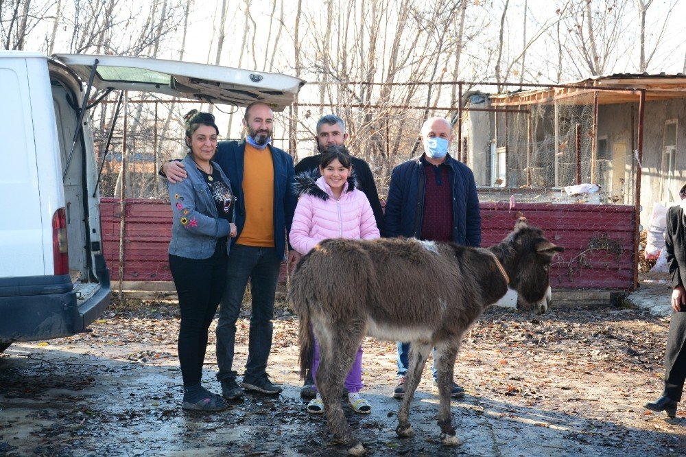 Eziyet Edilen Eşek, İzmir’e Gönderildi