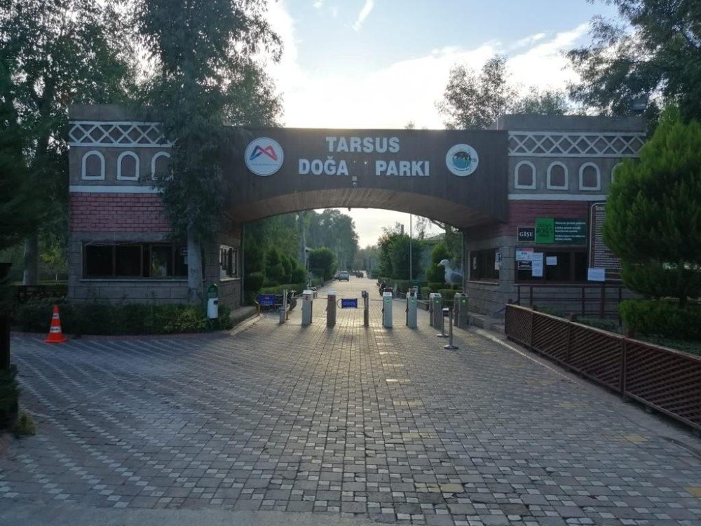 Tarsus Doğa Parkı Ve Barınaklar 6 Ocak’a Kadar Ziyarete Kapatıldı