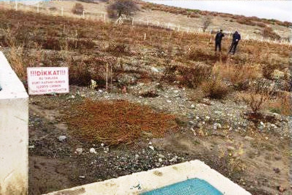 Tavşanlı’da 9 Dekarlık Ceviz Bahçesi Destekleme Kapsamına Alındı