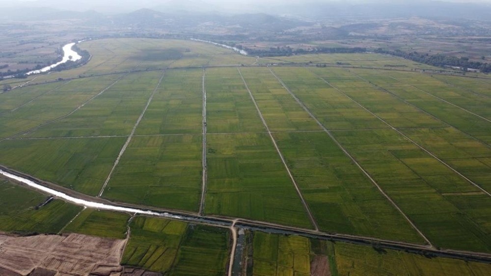Tarım Alanlarında 8,25 Milyon Hektar Alanda Toplulaştırma Çalışmaları Sürüyor