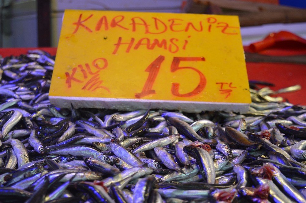 Eskişehir’de Hamsi 15 Liraya Düştü
