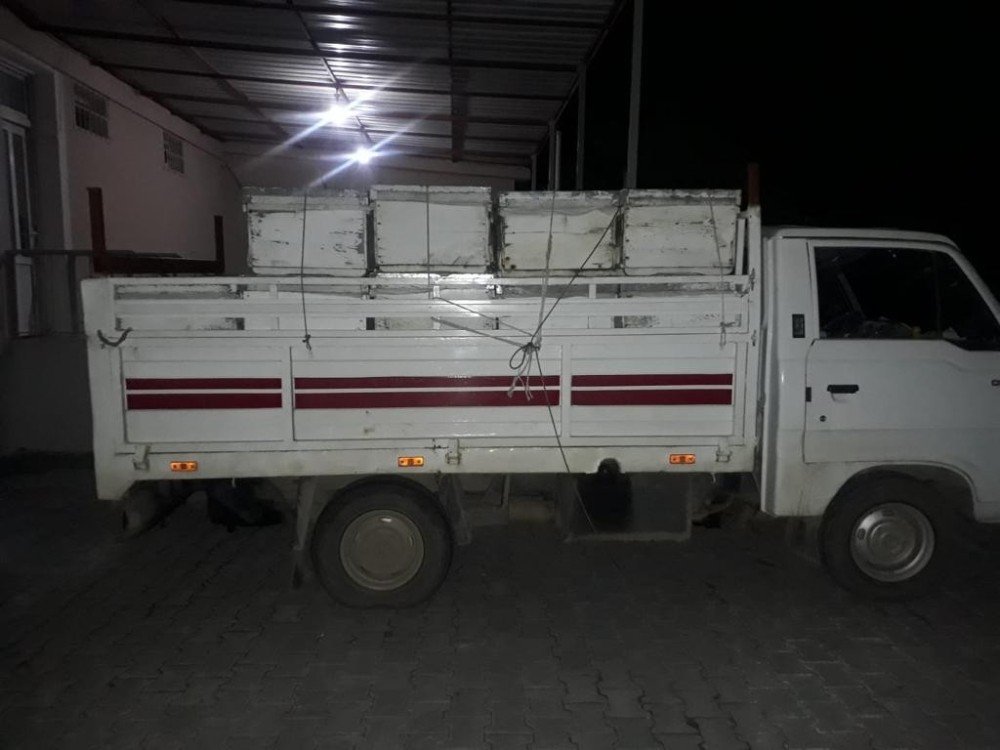 Burhaniye’de Arı Hırsızı Jandarmadan Kaçamadı