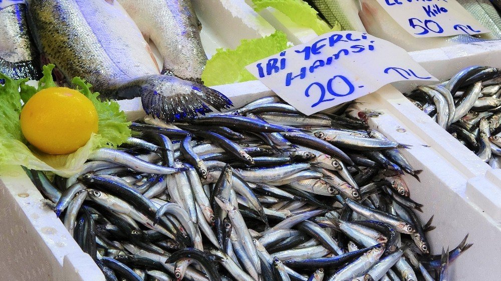 Palamut Sezonu Bitti, Karadeniz Hamsisi 20 Lira