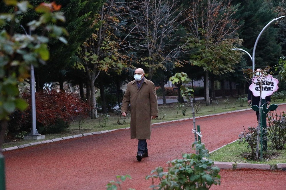 Sarının Ve Yeşilin Her Tonu Atatürk Botanik Bahçesi’nde