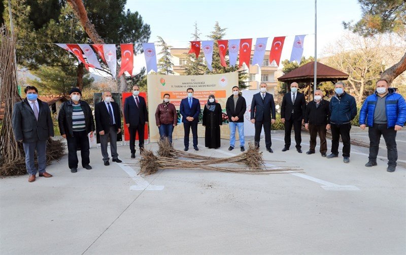Amasya Çiftçisine Kiraz Fidanı Desteği