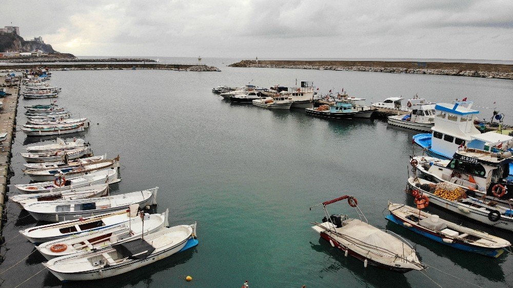 Hamside Tehlikeye Dikkat Çekip Böyle Uyardı; "karadeniz Nadasa Bırakılmalı"