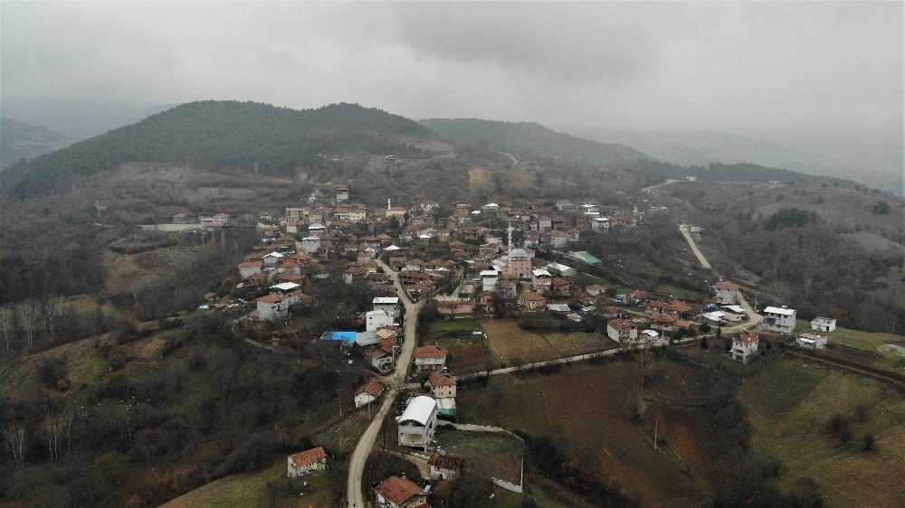 Bursa’da İnternet Ve Uzaktan Eğitim Çilesi