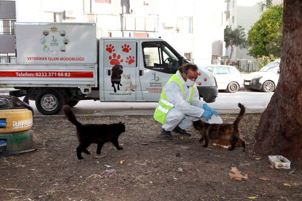 Bayraklı Belediyesi Sokağa Çıkma Kısıtlamasında Sokak Hayvanlarını Unutmadı