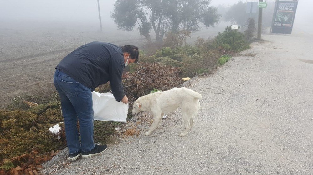 Sokak Hayvanlarına Mama Desteği