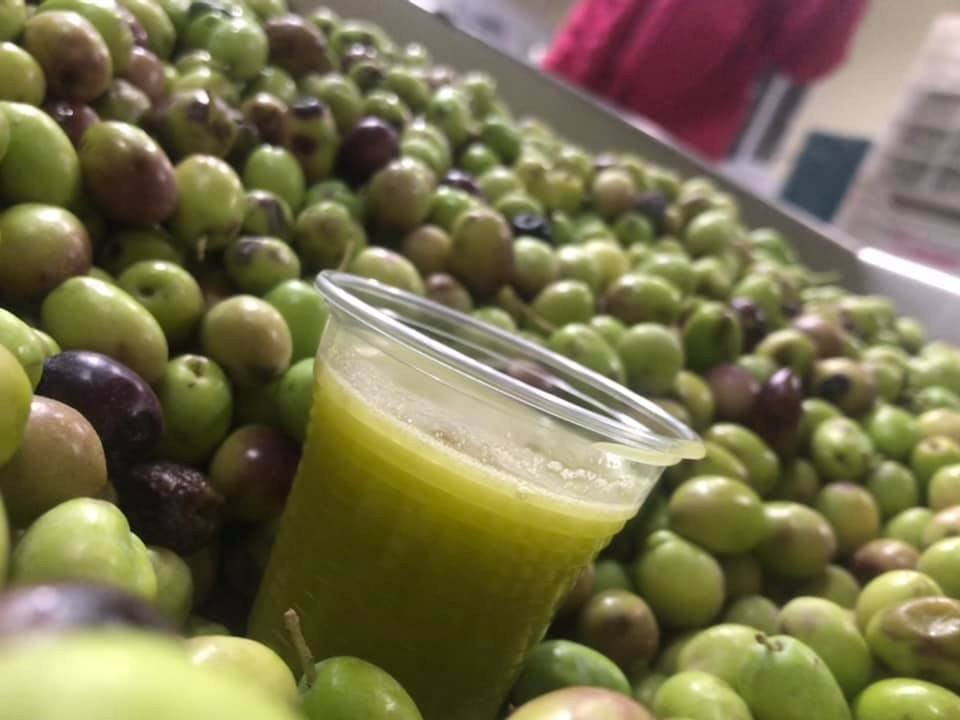Baün’den Tarımsal Ve Hayvansal Üretim Atağı