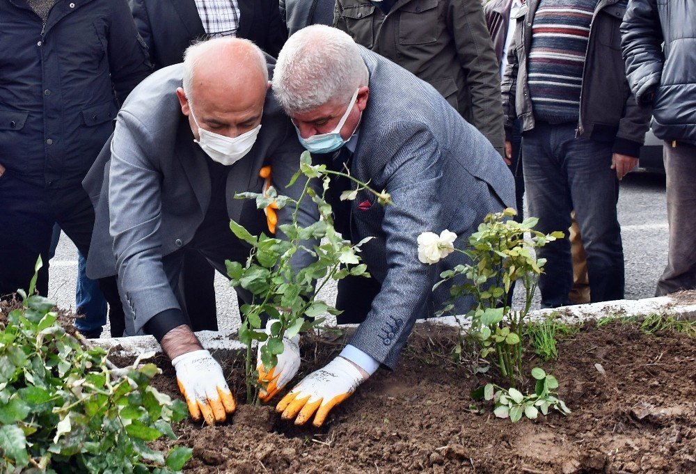 Güllübahçe Mahallesi Yıllar Sonra Adını Aldığı Güllerine Kavuşuyor