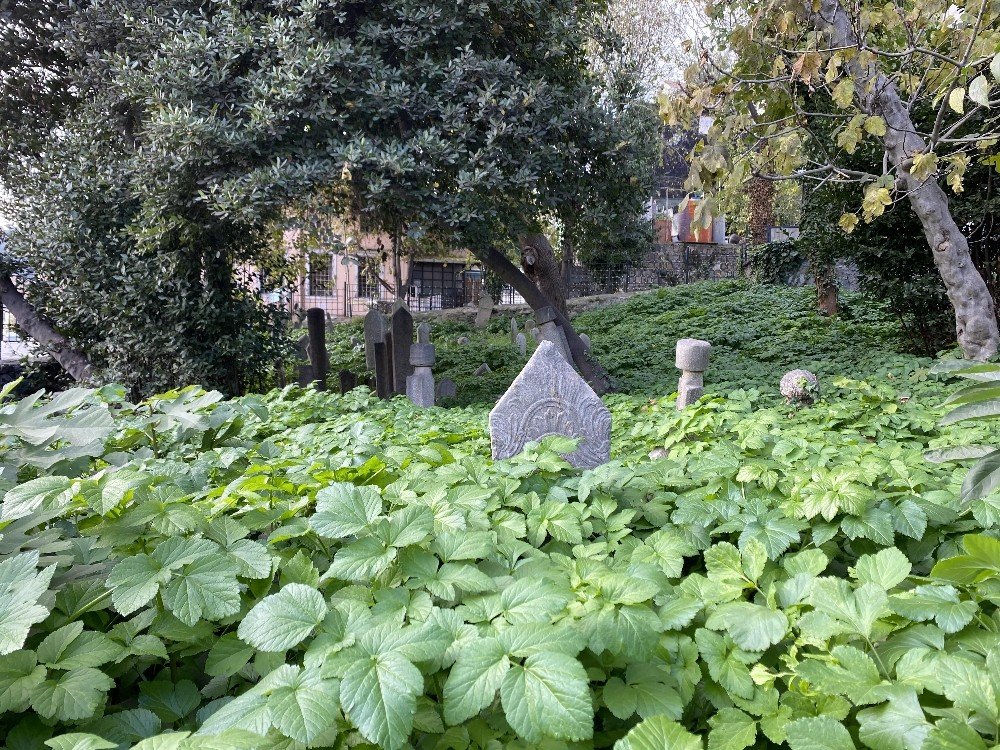 İstanbul’da Tarihi Hazirenin İçler Acısı Hali Yürekleri Burktu