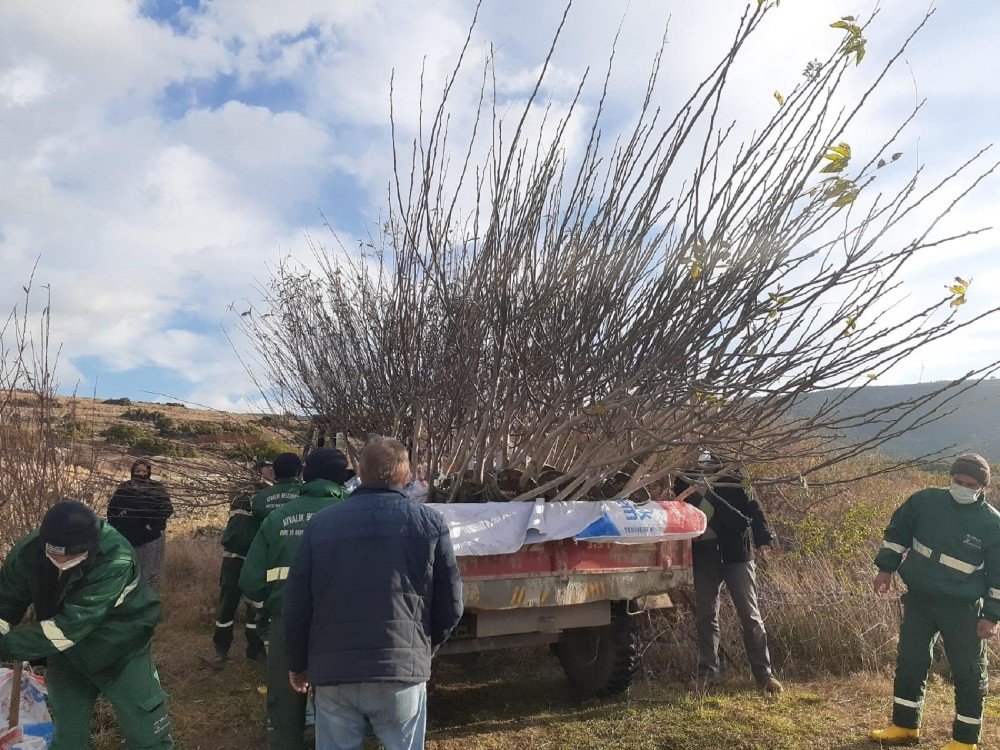 Şifa Ormanı İçin Bir Araya Geldiler