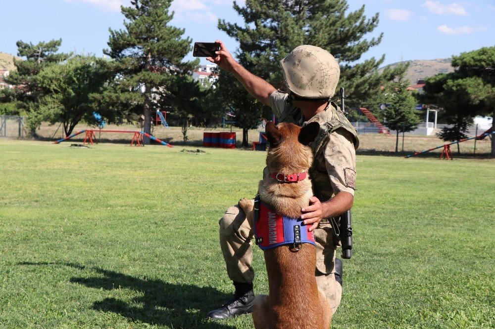 Jandarma, Can Dostları Köpekler İçin Kısa Film Çekti