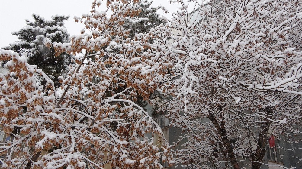 Muş’ta Lapa Lapa Kar Yağışı