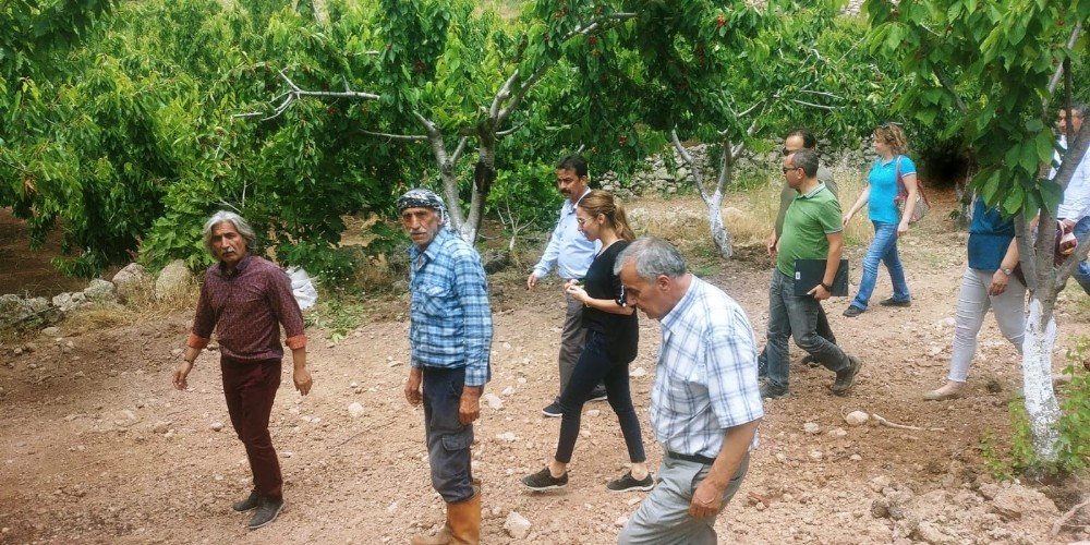 Ruhşan Özdemir Çifçi’nin Ataması Bornova’daki Vatandaşları Üzdü