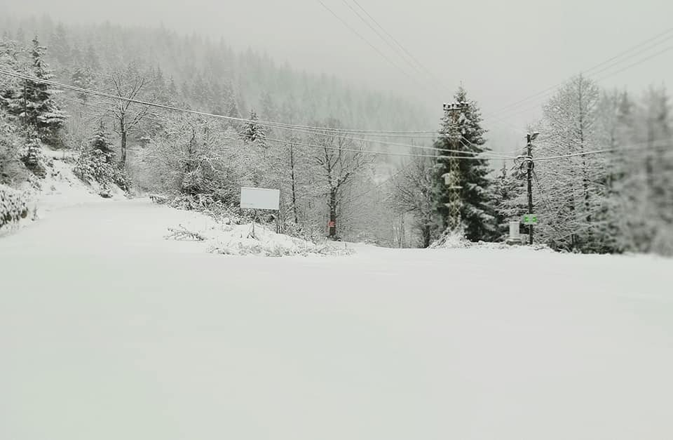 Artvin’de Kar Yağışı Nedeniyle 29 Köy Yolu Ulaşıma Kapandı