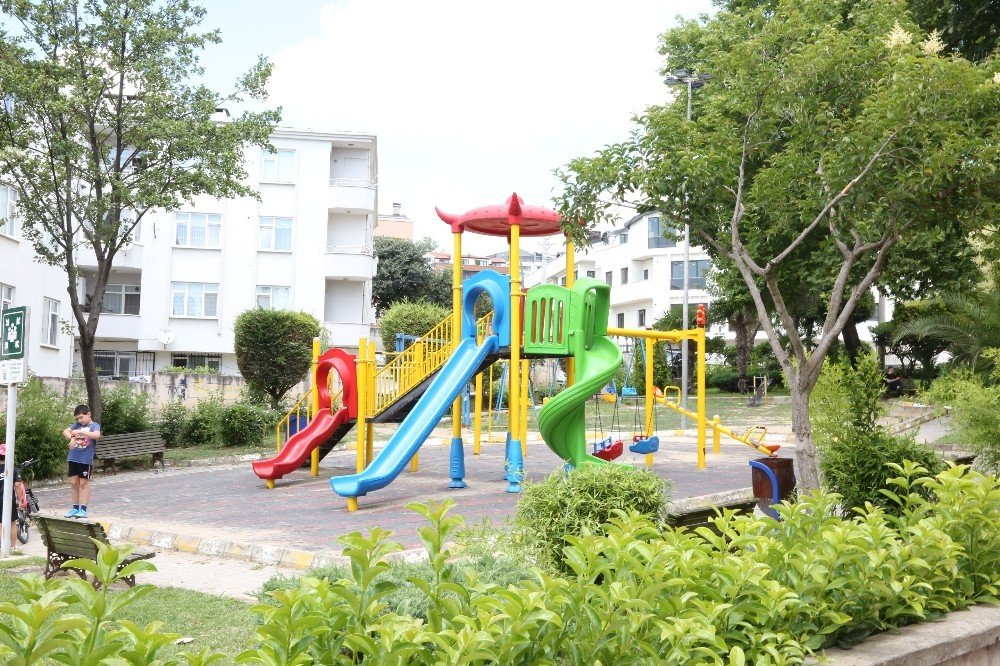 Darıca Bu Yıl Yeşile Doydu