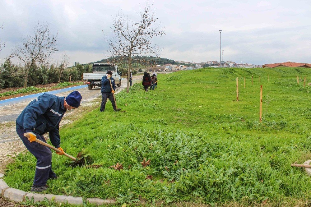 Karacabey’de Binlerce Fidan Toprakla Buluşuyor