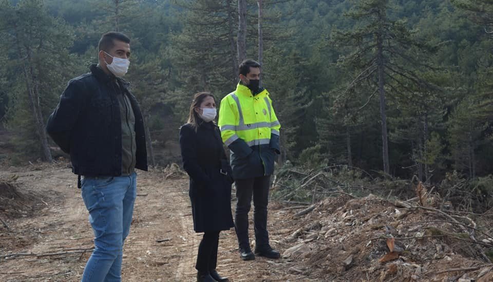 Kaymakam Yazıcı Orman Tensil Çalışmalarını İnceledi