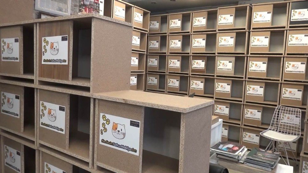 Ücretsiz Dağıtılan Kedi Evlerine Vatandaşlar Büyük İlgi Gösterdi
