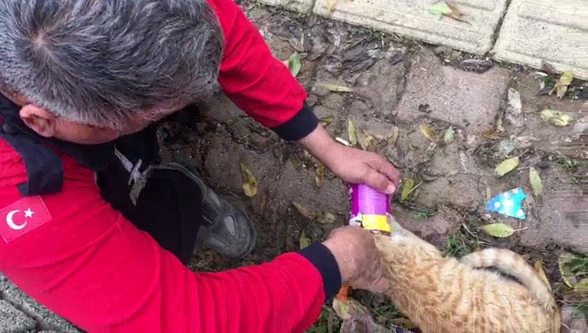 Mama Kutusuna Kafası Sıkışan Kediyi İtfaiye Kurtardı