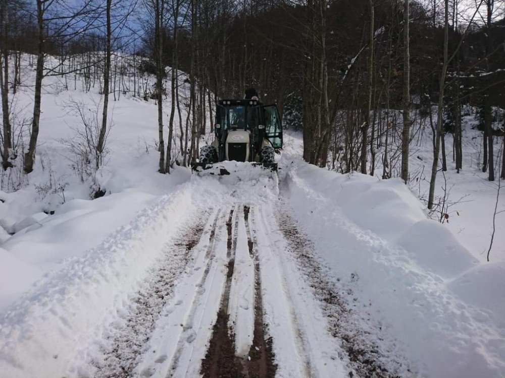 Trabzon’da Karla Kaplı Mahalle Yollarının Tamamı Ulaşıma Açıldı