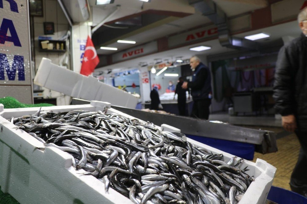 Balık Çeşitlendi Fiyatlar Yükseldi