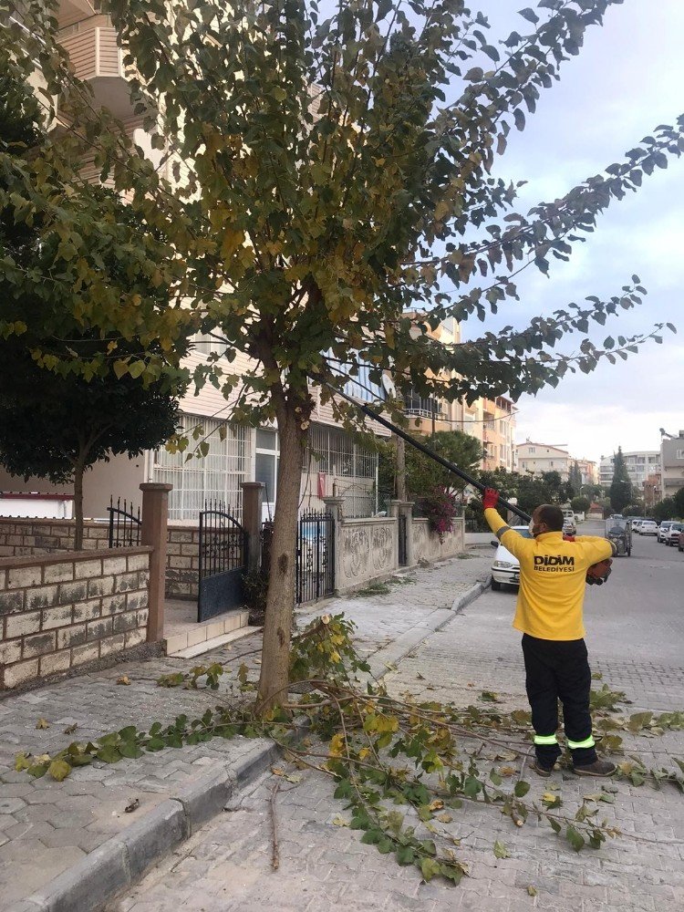 Didim’in Çehresi Değişiyor