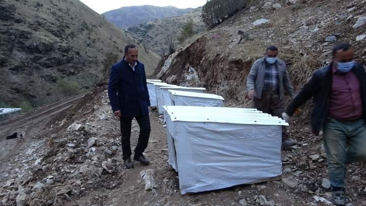 Şemdinli Belediyesi Sokak Hayvanları İçin Önemli Bir Adım Attı