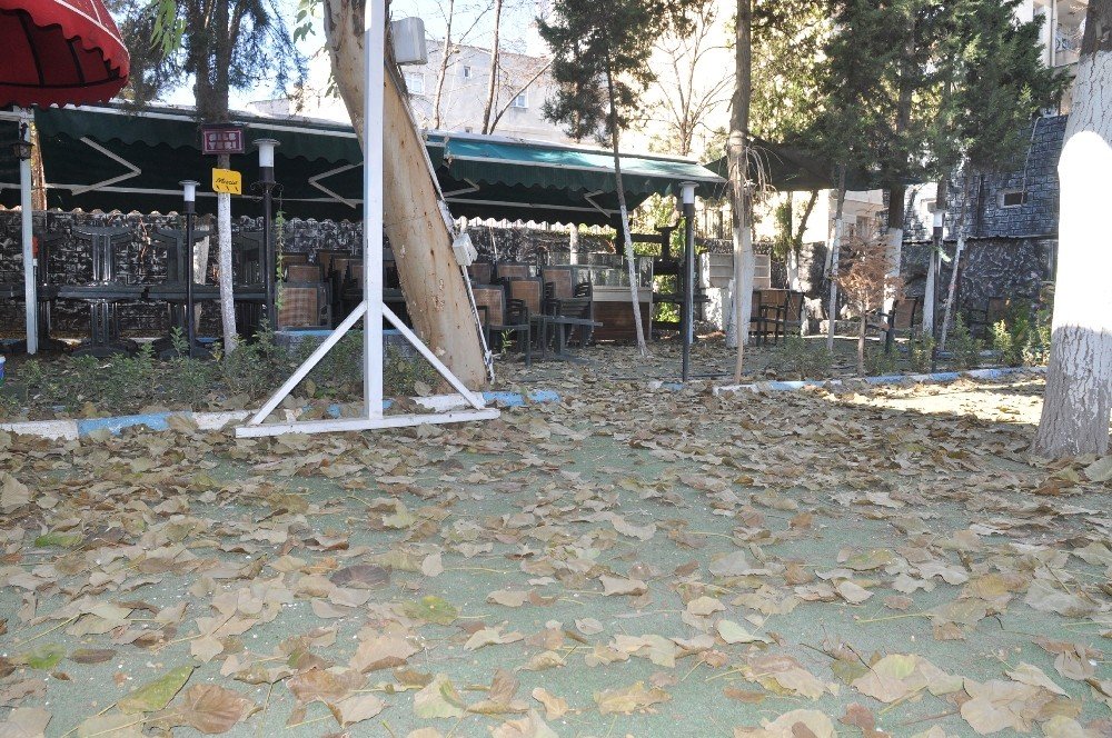 Sınırın Sıfır Noktasında Kısıtlamaya Kimi Uydu, Kimisi Uymadı