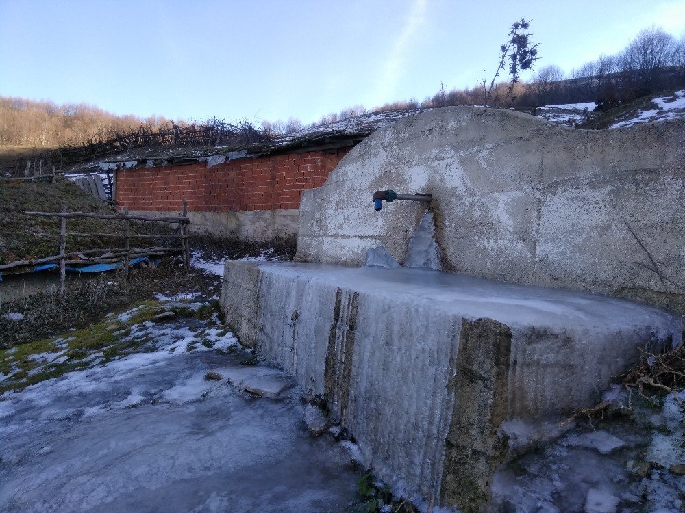 Soğuk Hava Çeşmeleri Ve Yalakları Dondurdu