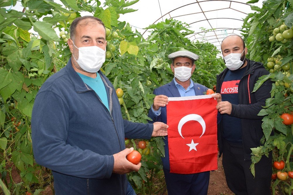 Başpehlivanlar Domatese Sahip Çıktı