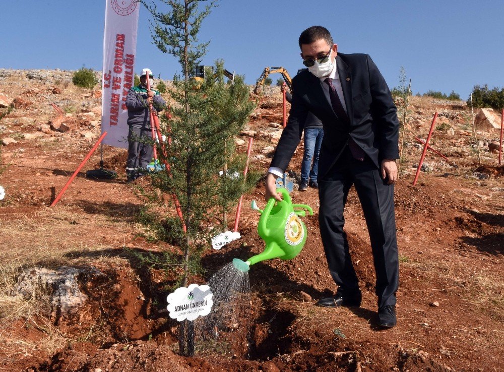 Gso’nun Yılbaşı Hediyesi Gagiad Ormanına Fidan Bağışı