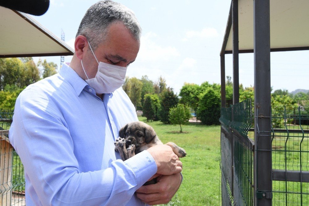 Başkan Esen: “minik Dostlarımızı Yalnız Bırakmadık”