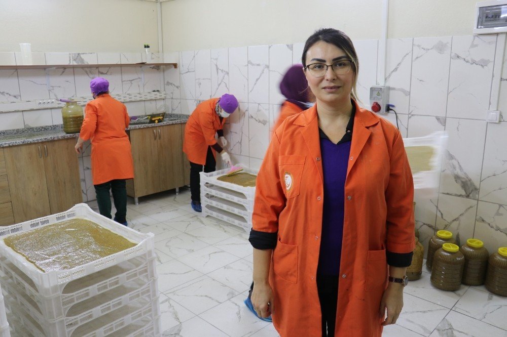 Kadın Kooperatifi Kivi Ve Hurmadan Pestil Üretimine Başladı
