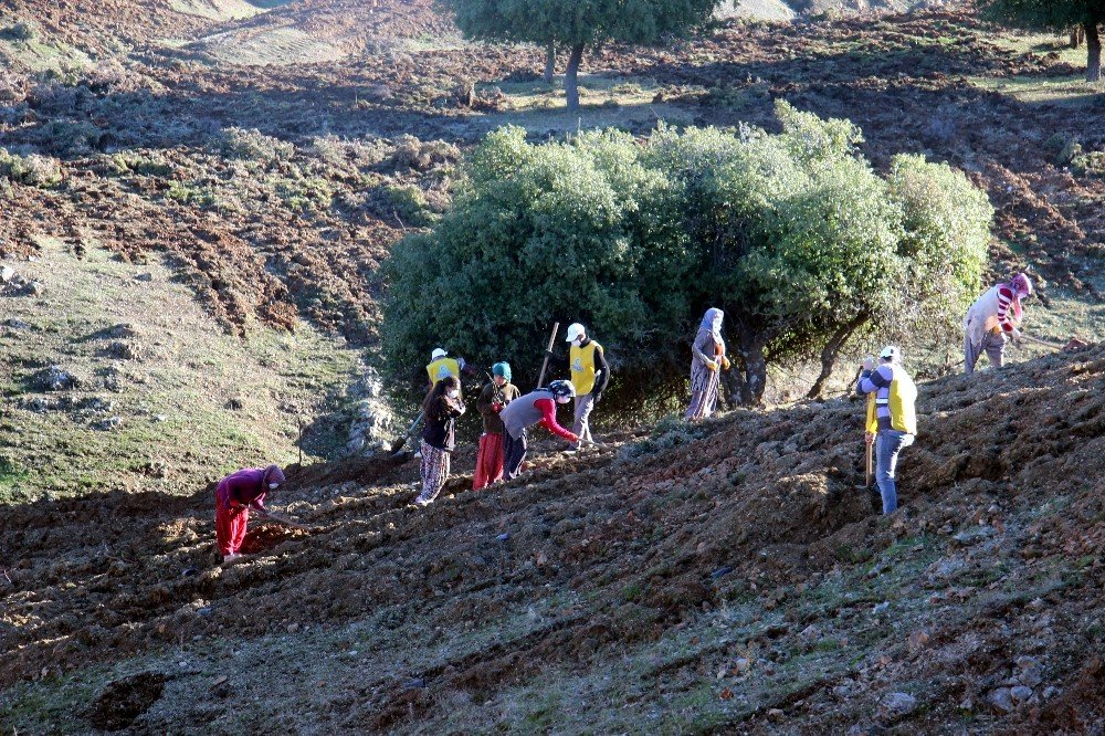 Kilis’te Aroma Vadisi Oluşturuldu