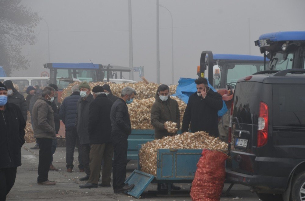 Taşköprü Sarımsağı, Avrupa Birliği Yolunda