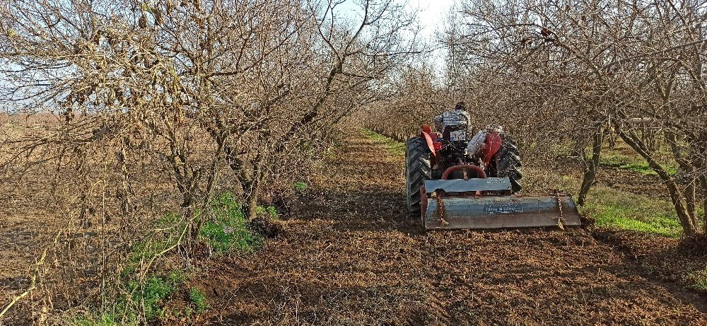 İzmir’de Kısıtlamaya Rağmen Tarlalarda Üretim Devam Etti