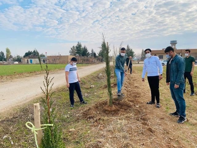 Çiftçiler Sosyal Medya Üzerinden Organize Olup, Kısıtlamada Çam Fidanı Dikti