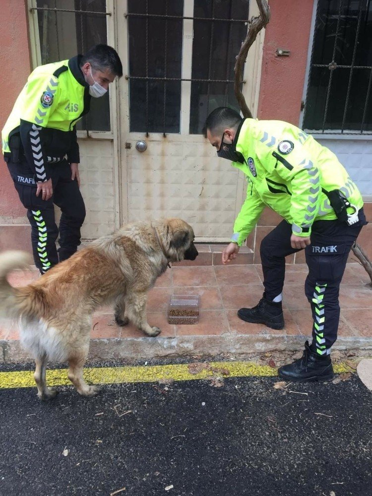 Eşme’de Sokak Hayvanları Beslendi