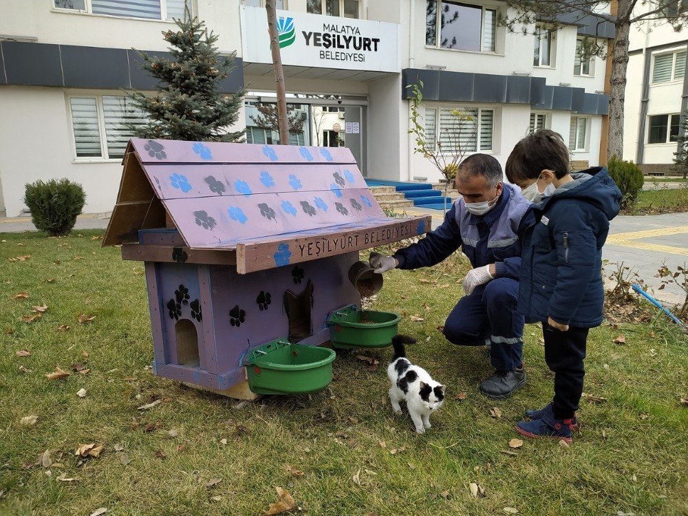 Yeşilyurt’ta Sokak Hayvanları İçin Kedi Ve Köpek Evler Projesi