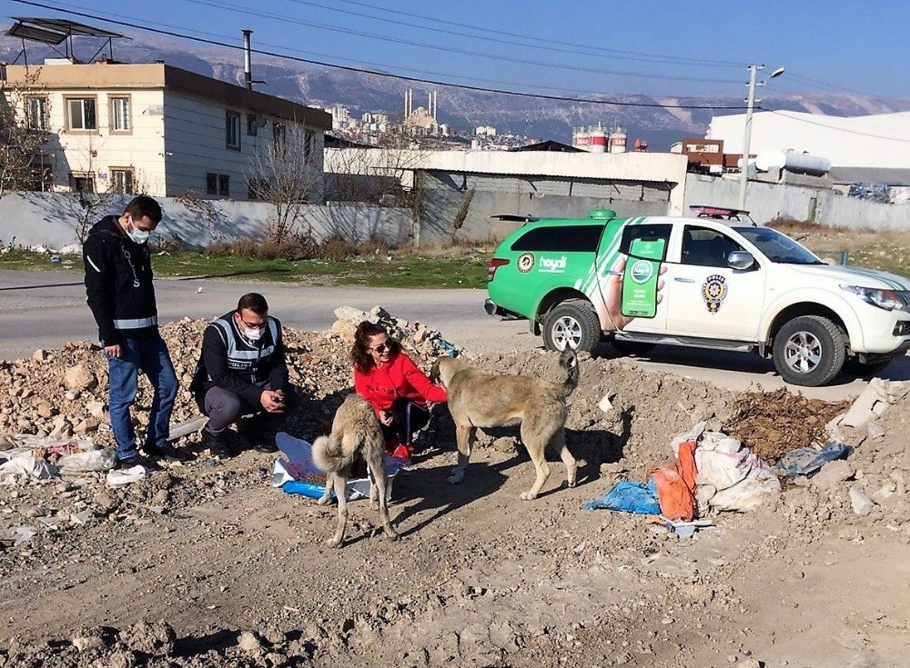 Kısıtlamada Sokak Hayvanlarına Mama